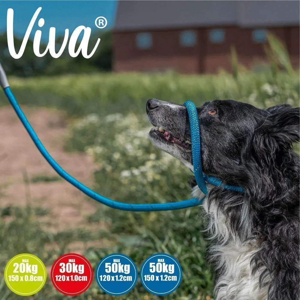 Ancol Viva Blue Poly-Weave Rope Slip Dog Lead